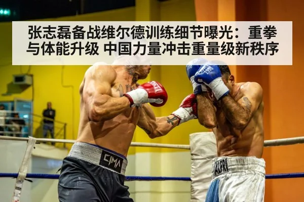 张志磊备战维尔德训练细节曝光：重拳与体能升级 中国力量冲击重量级新秩序